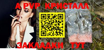 стаф Камышлов