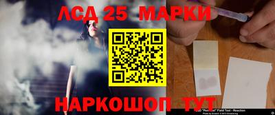 дмт Кандалакша