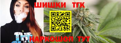 стаф Камышлов